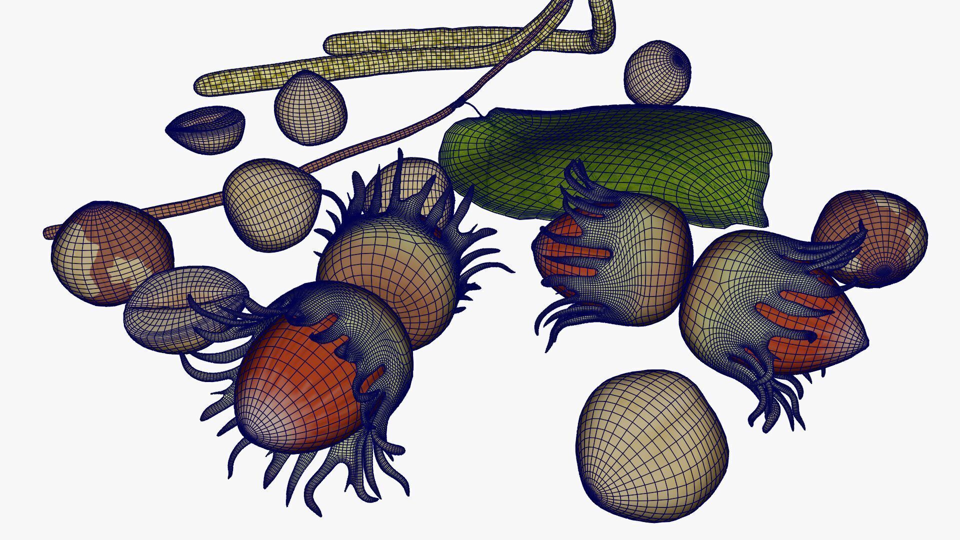 Hazelnuts 3D model_17
