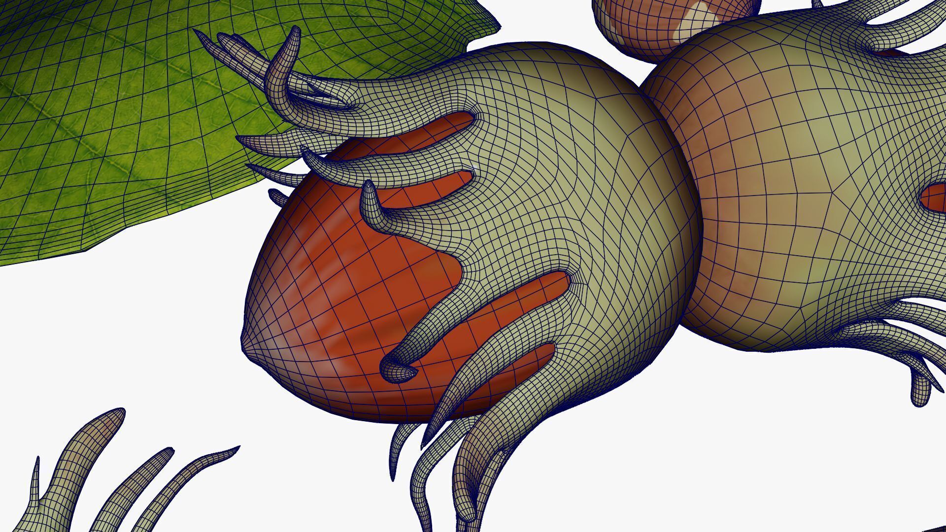 Hazelnuts 3D model_20