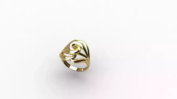 jewelry gold ring