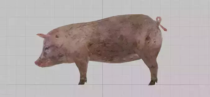 Pig - The Witcher 3 Wild Hunt