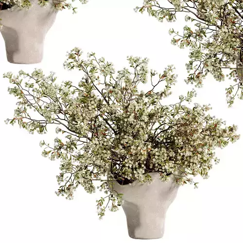 plants bouquet vase 48