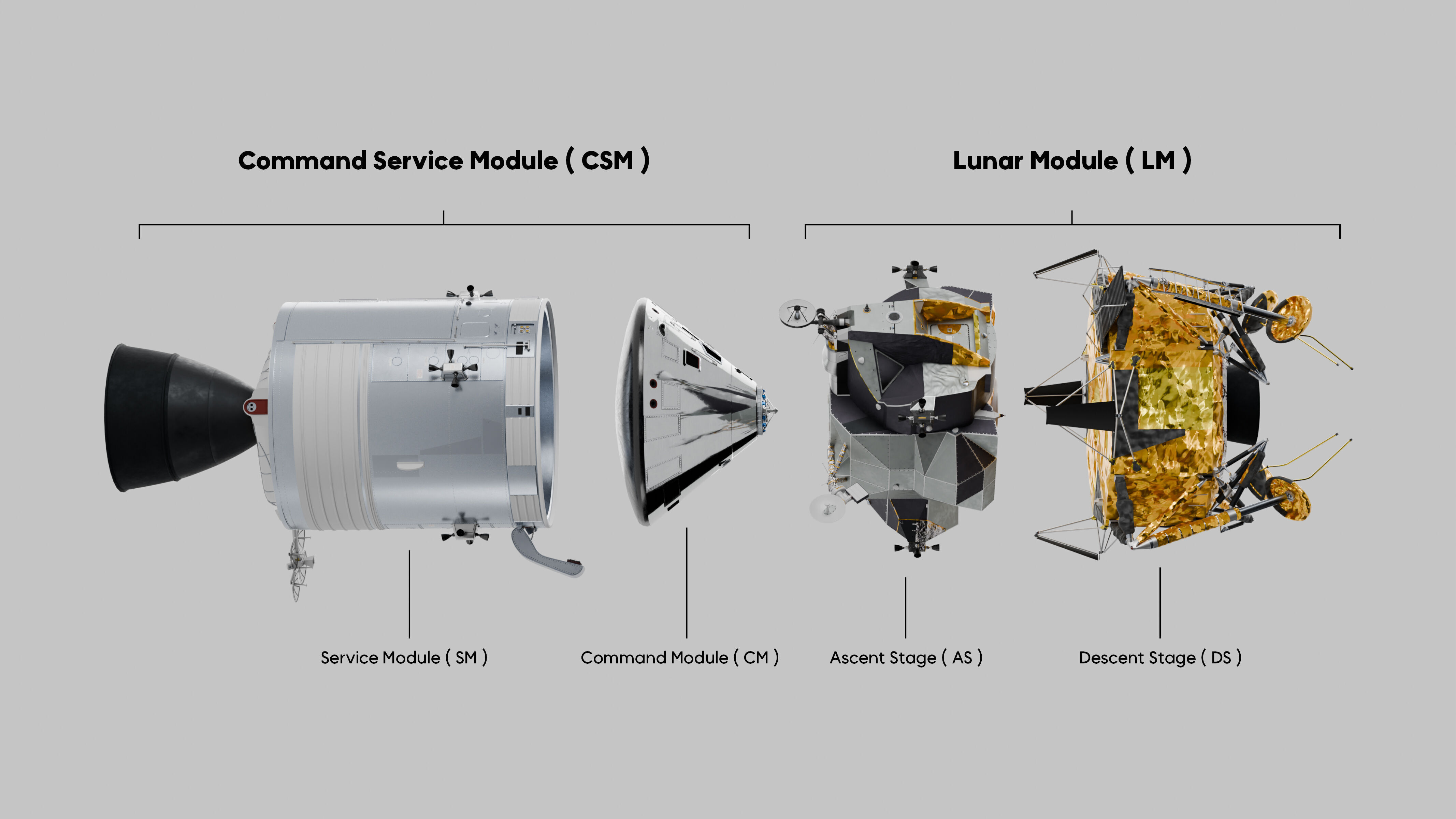 Apollo Spacecraft Lunar Module LM 3D model_24