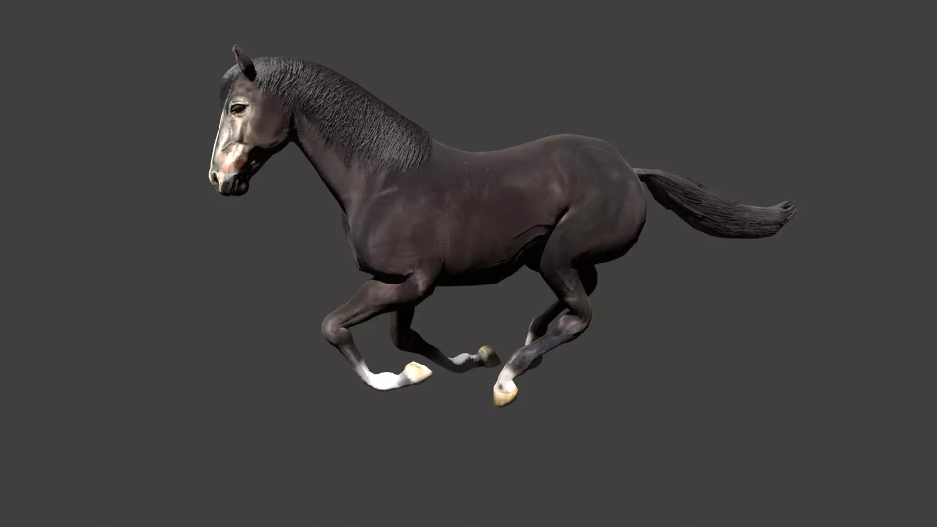 Black Stallion Realistic Running Animation Low-poly 3D model_0