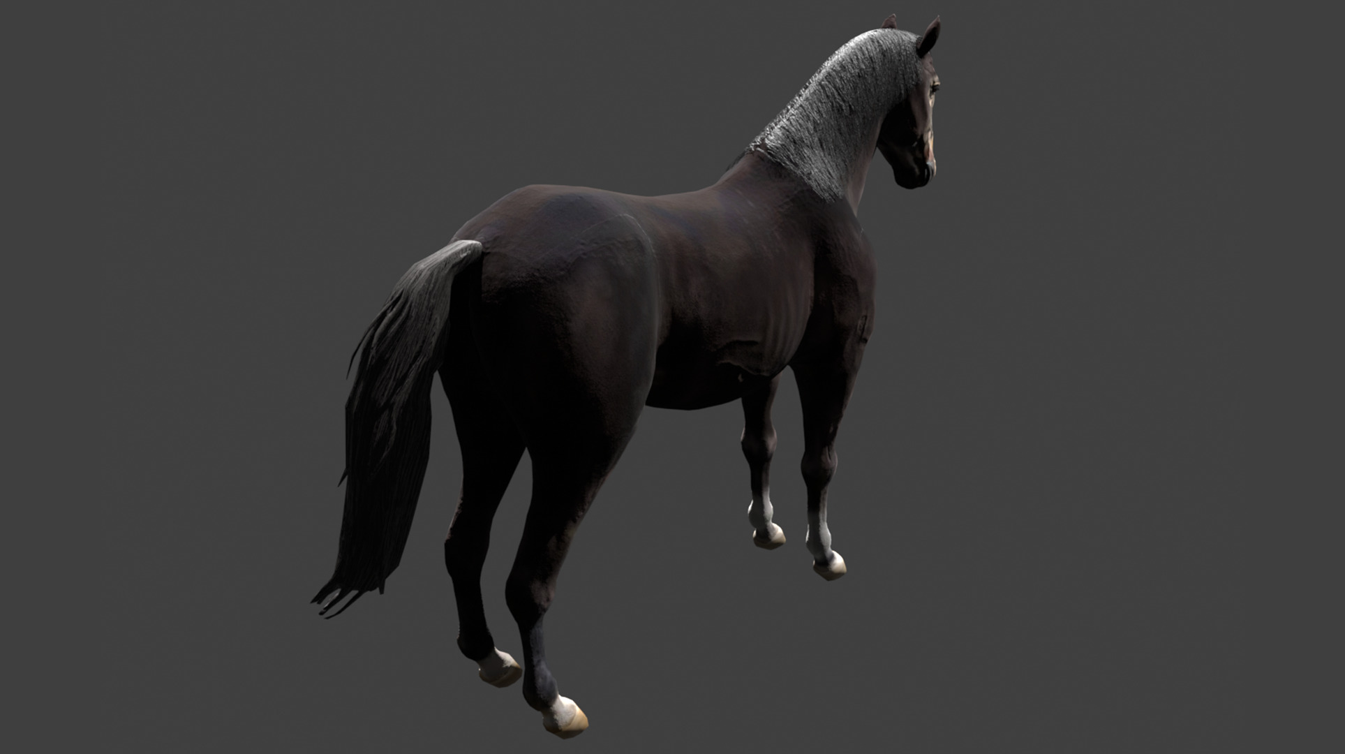 Black Stallion Realistic Running Animation Low-poly 3D model_13