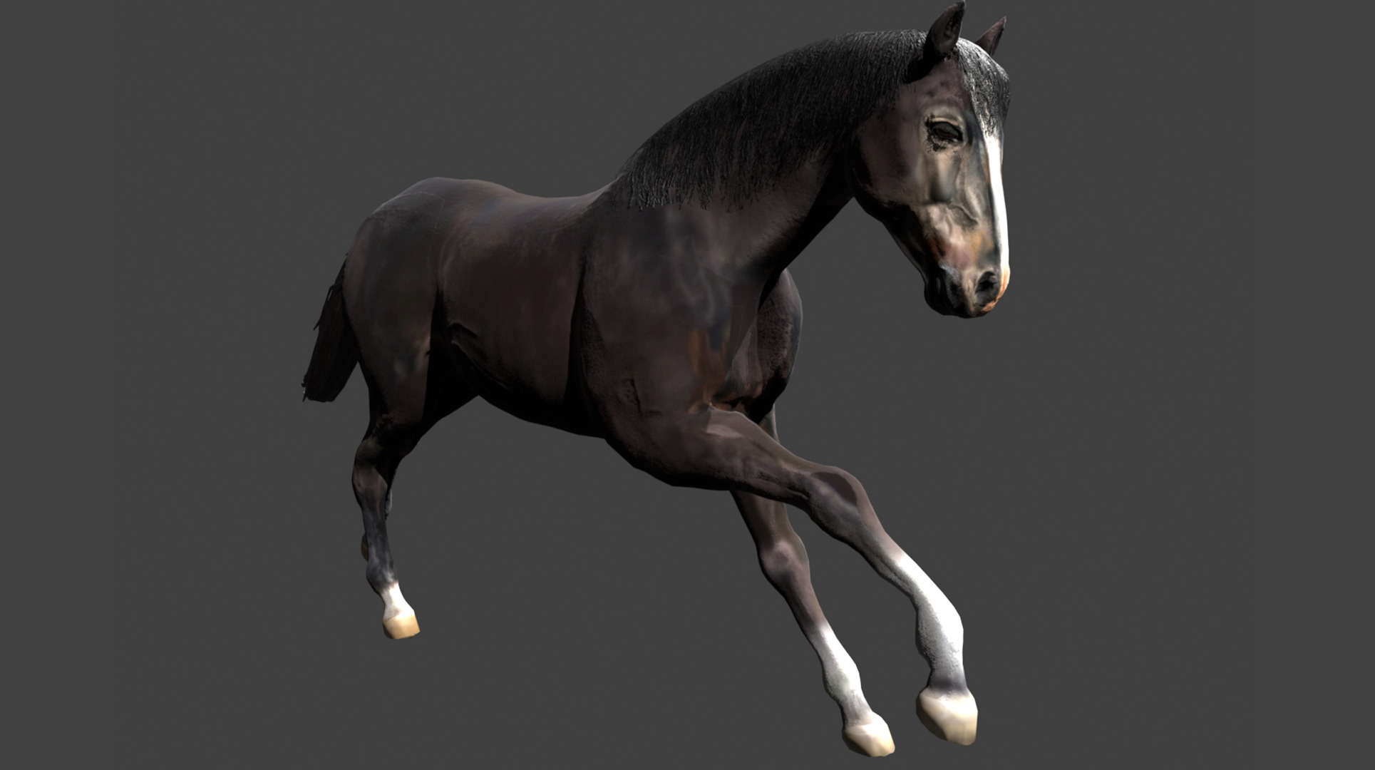 Black Stallion Realistic Running Animation Low-poly 3D model_3
