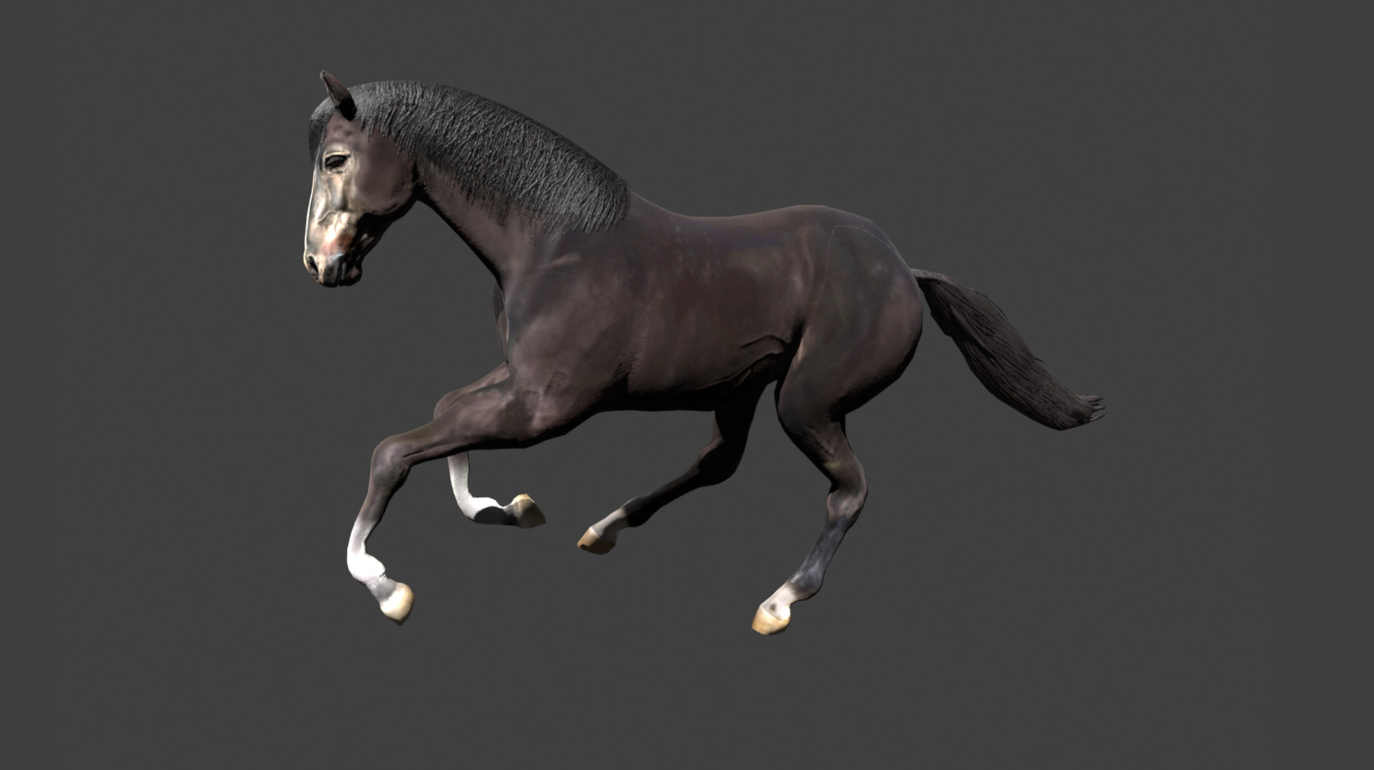 Black Stallion Realistic Running Animation Low-poly 3D model_4
