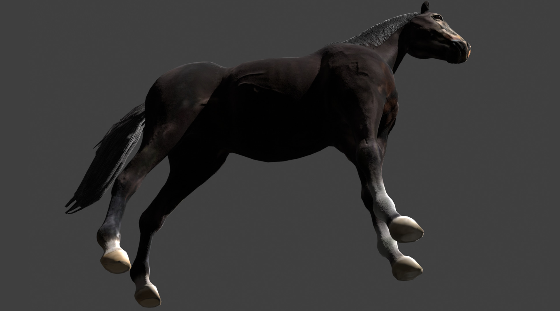 Black Stallion Realistic Running Animation Low-poly 3D model_15