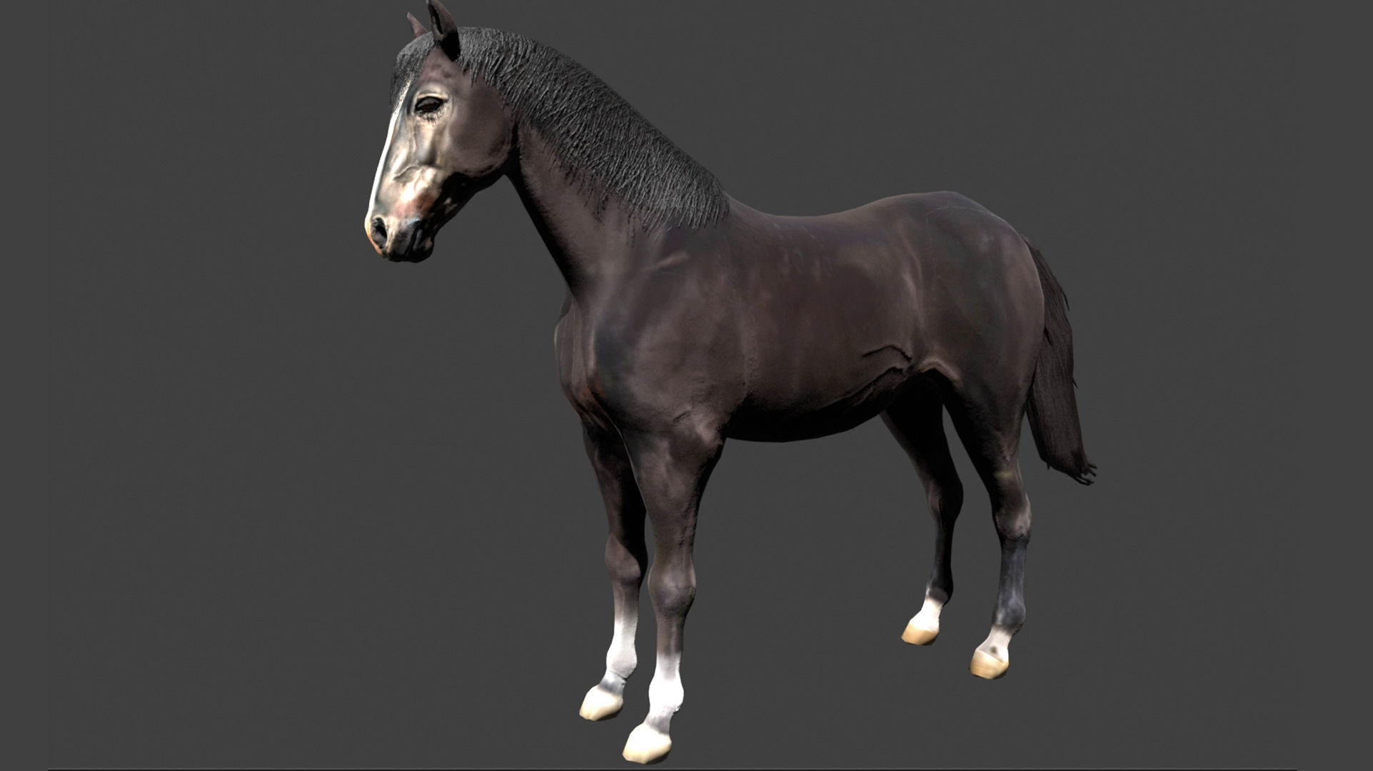 Black Stallion Realistic Running Animation Low-poly 3D model_5