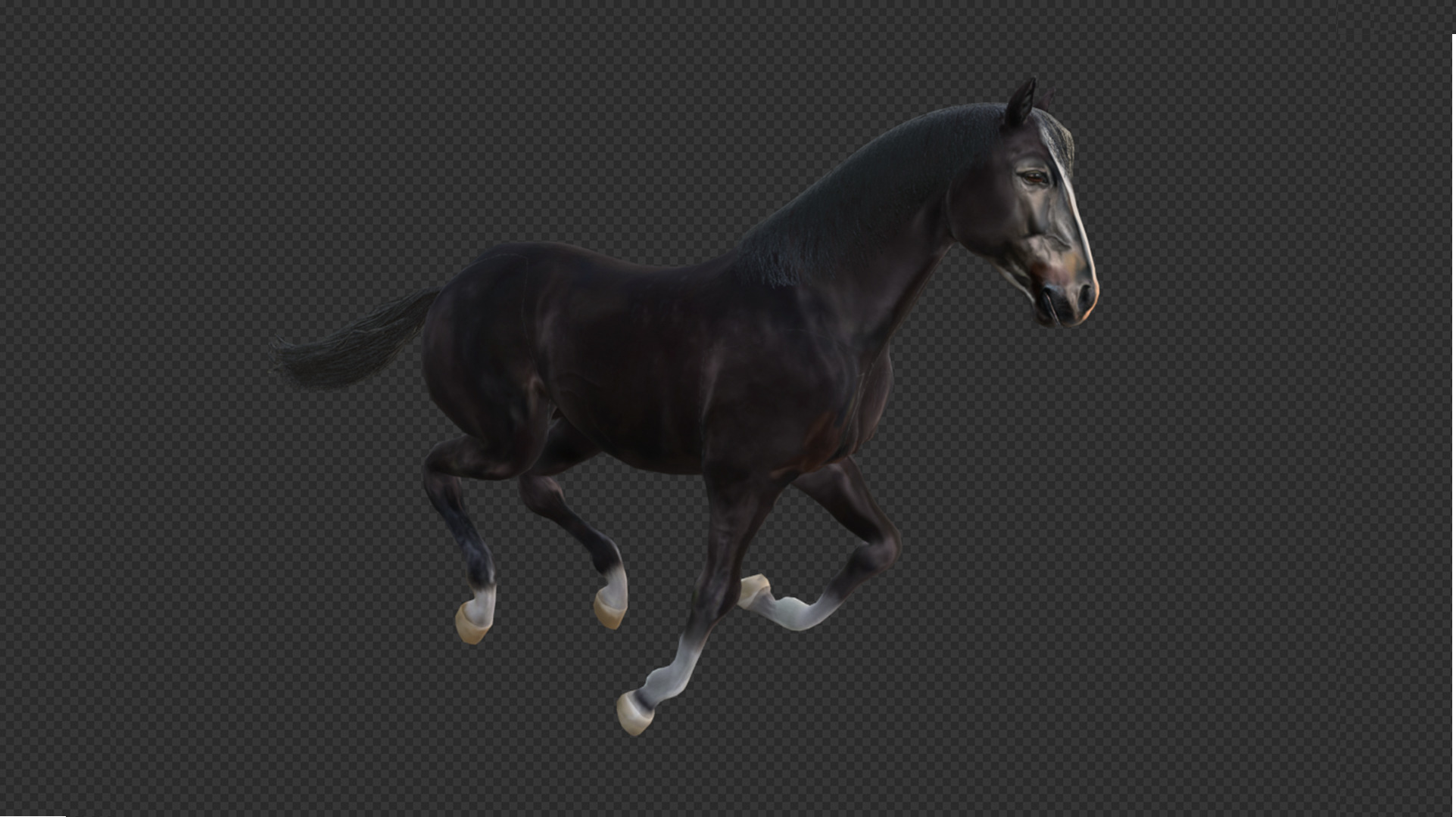 Black Stallion Realistic Running Animation Low-poly 3D model_8