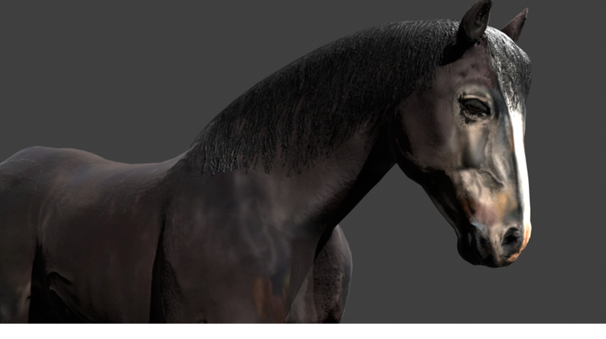 Black Stallion Realistic Running Animation Low-poly 3D model_19