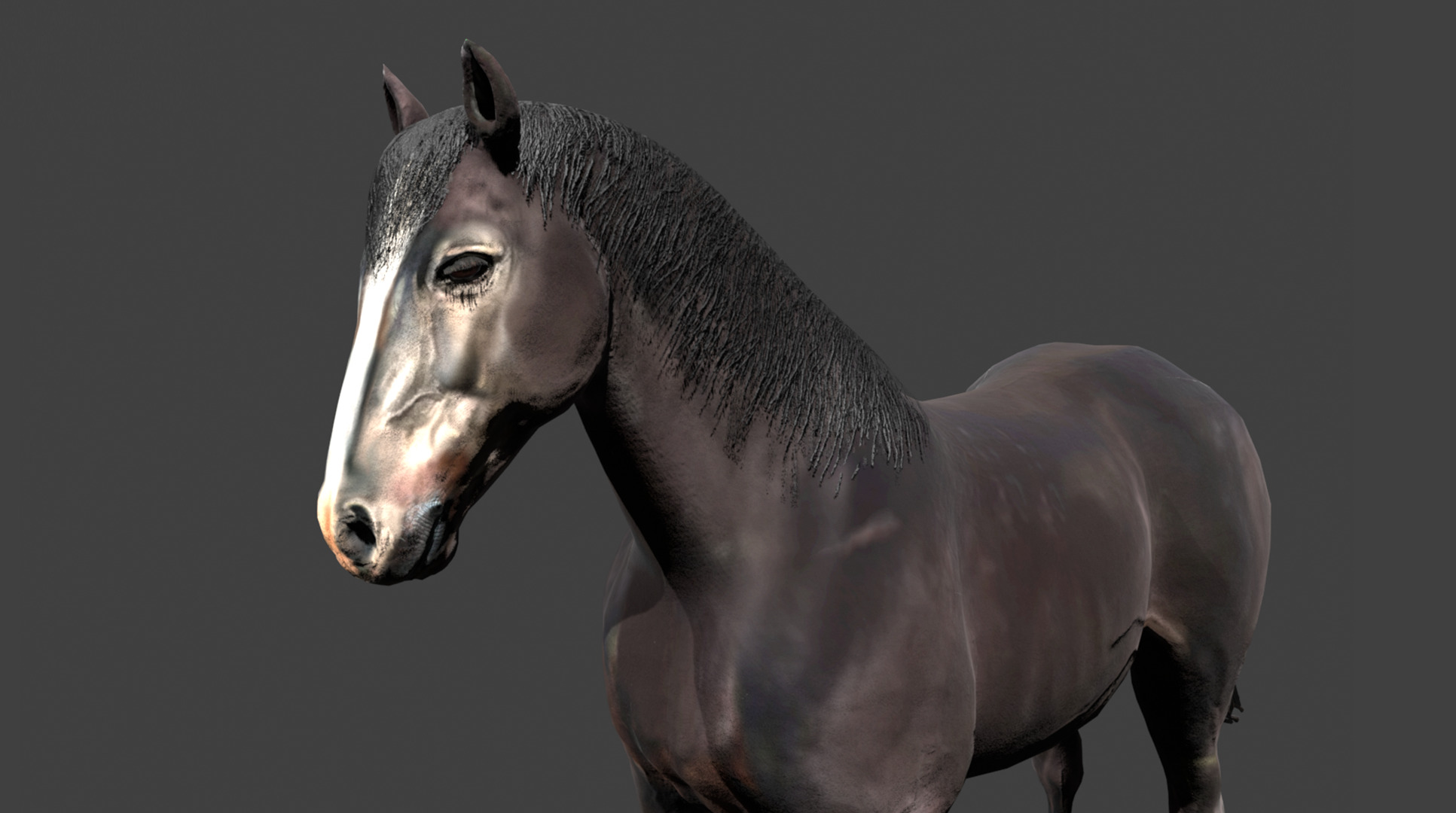 Black Stallion Realistic Running Animation Low-poly 3D model_20