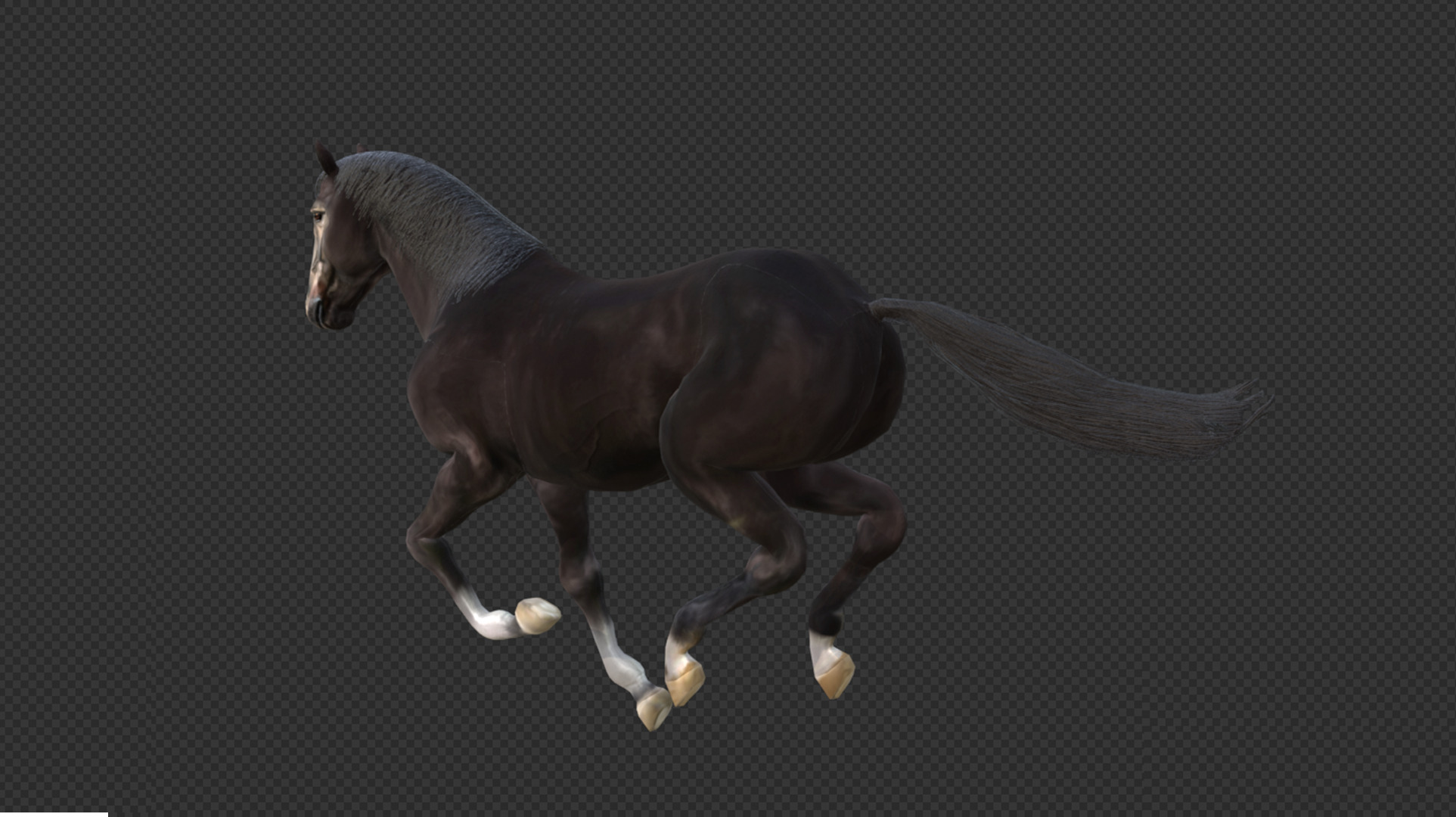 Black Stallion Realistic Running Animation Low-poly 3D model_7