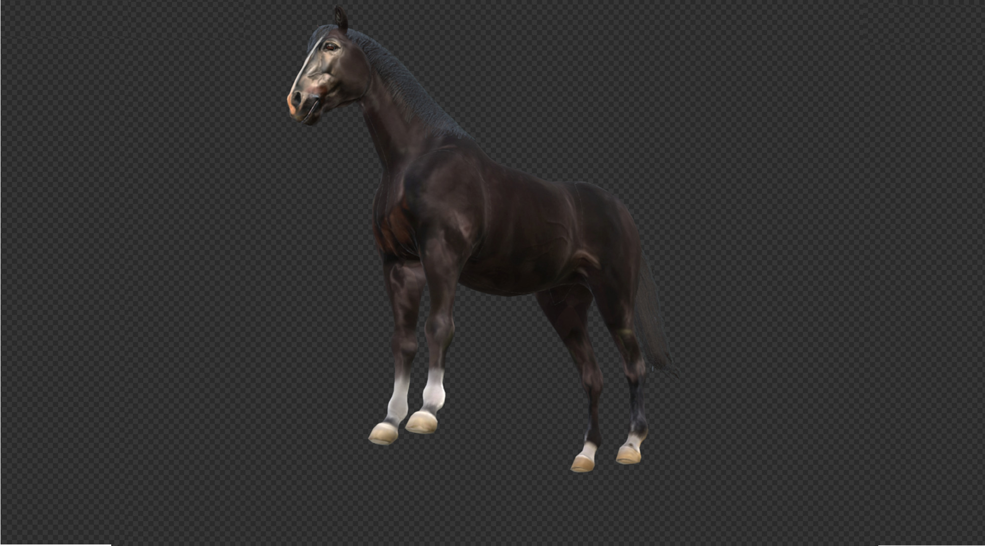 Black Stallion Realistic Running Animation Low-poly 3D model_16