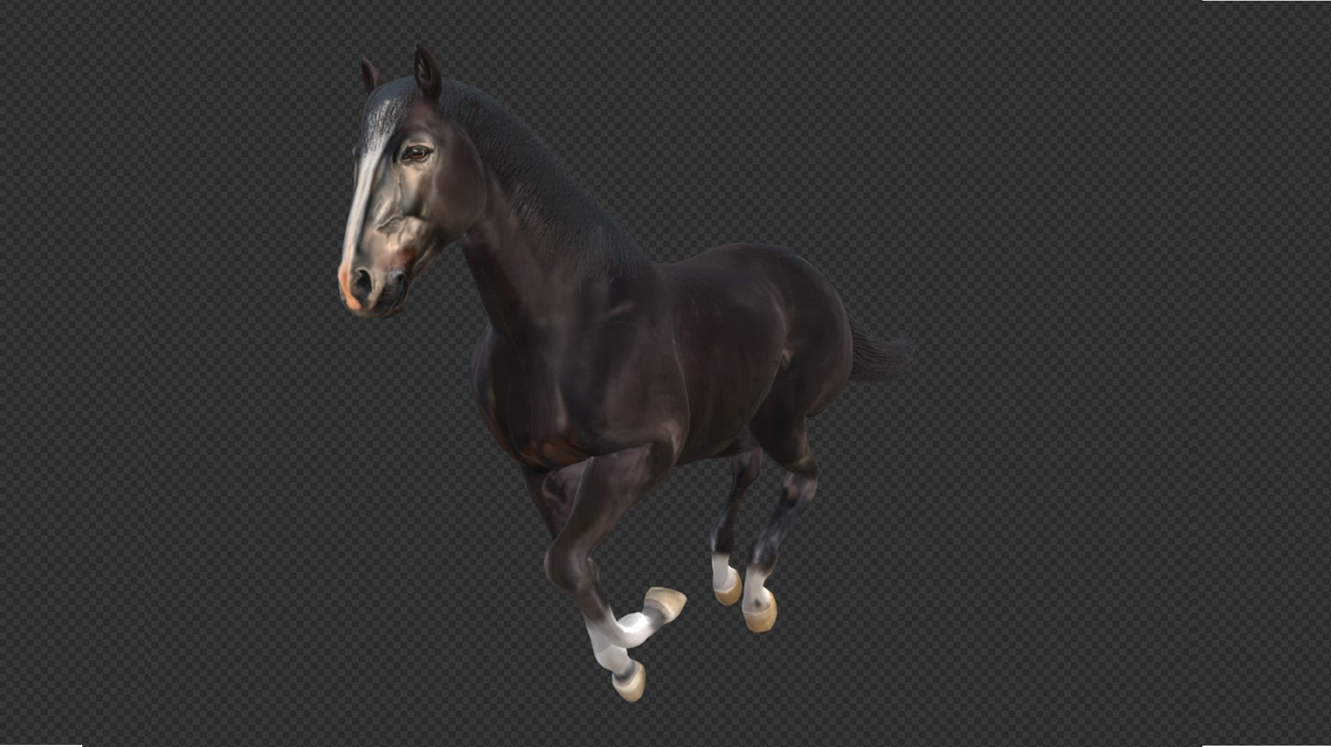Black Stallion Realistic Running Animation Low-poly 3D model_6