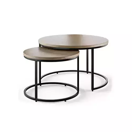Set of 2 oak nesting coffee tables 3D model
