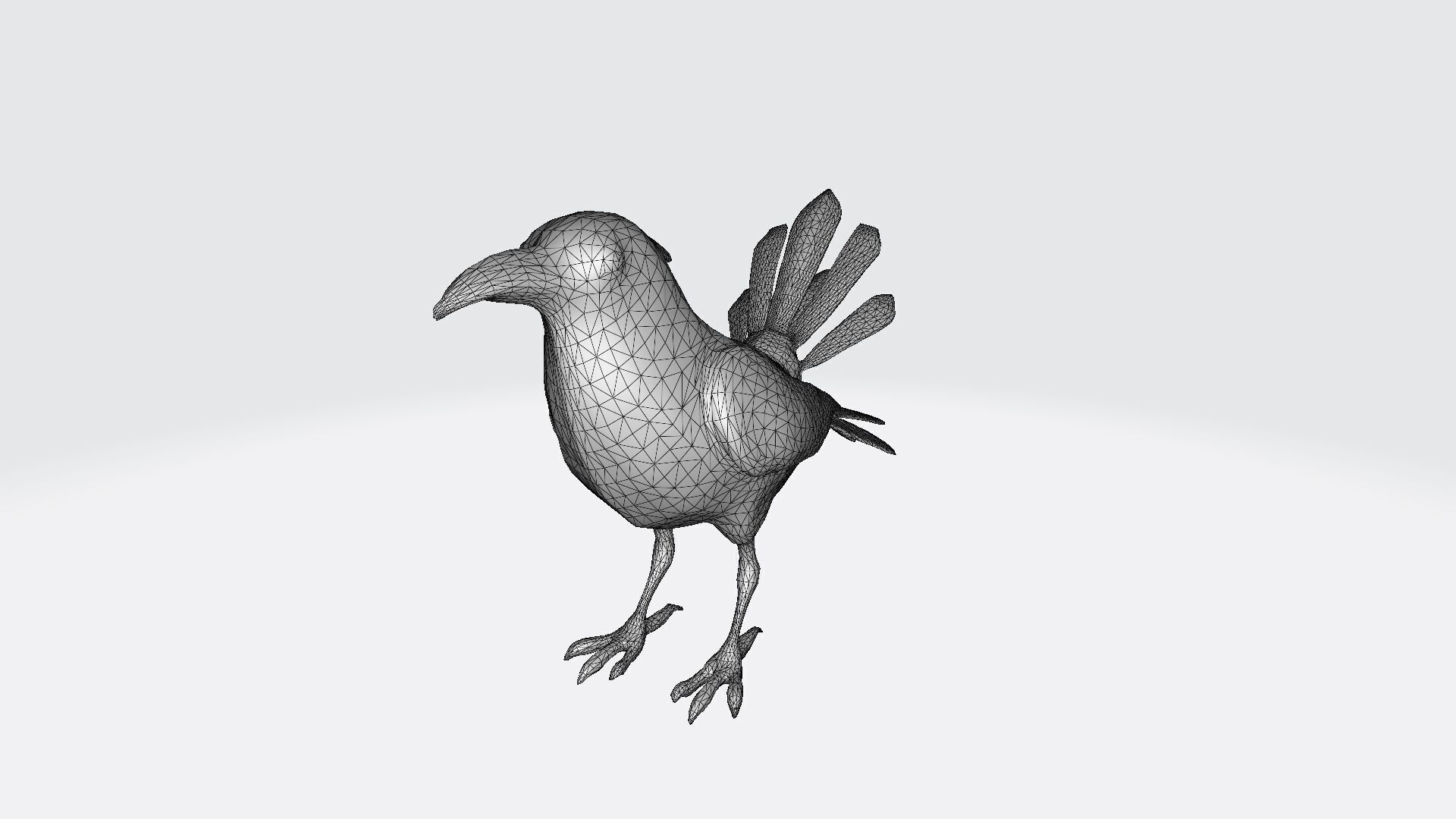 High 3d Render Australian Magpie Black And White 3D model_9