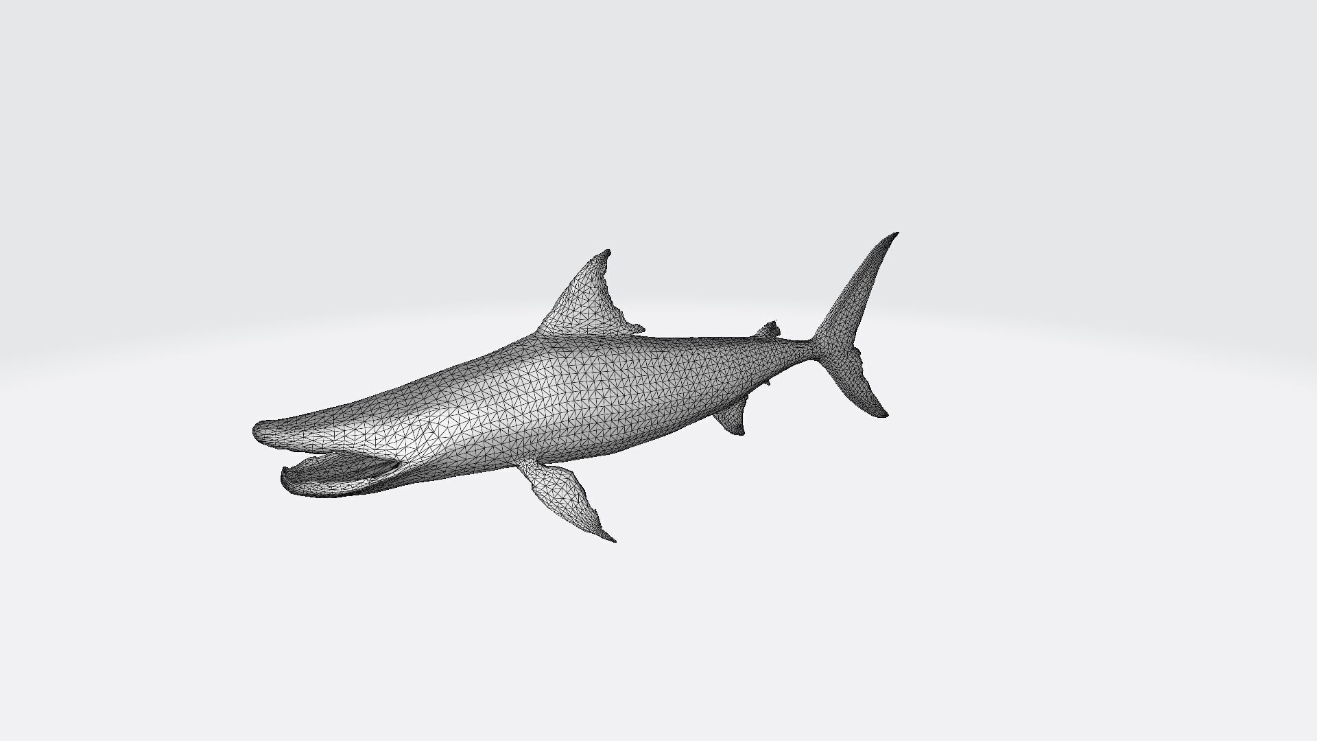 High 3d Render Barracuda Gets Defensive 3D model_6