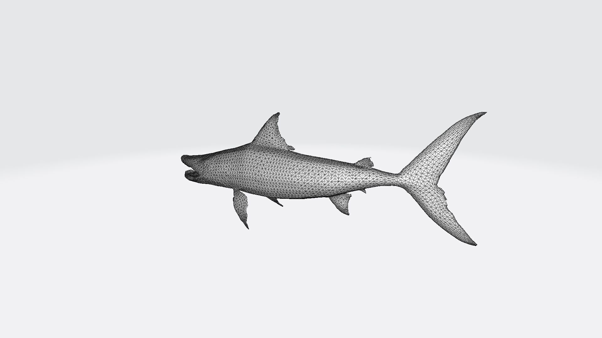High 3d Render Barracuda Gets Defensive 3D model_7
