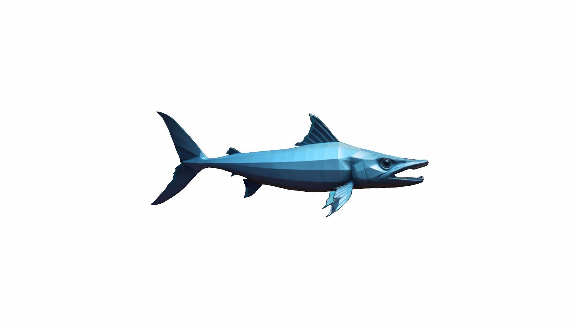 High 3d Render Barracuda Gets Defensive 3D model_3