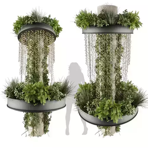 High-quality 3D plant collection vol 624 - ampelous - hanging 