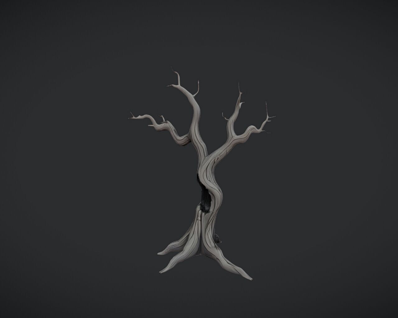 twisted barren tree 3D model_5
