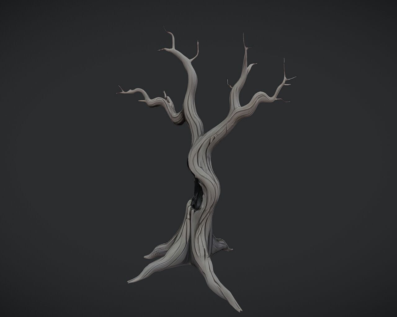 twisted barren tree 3D model_4