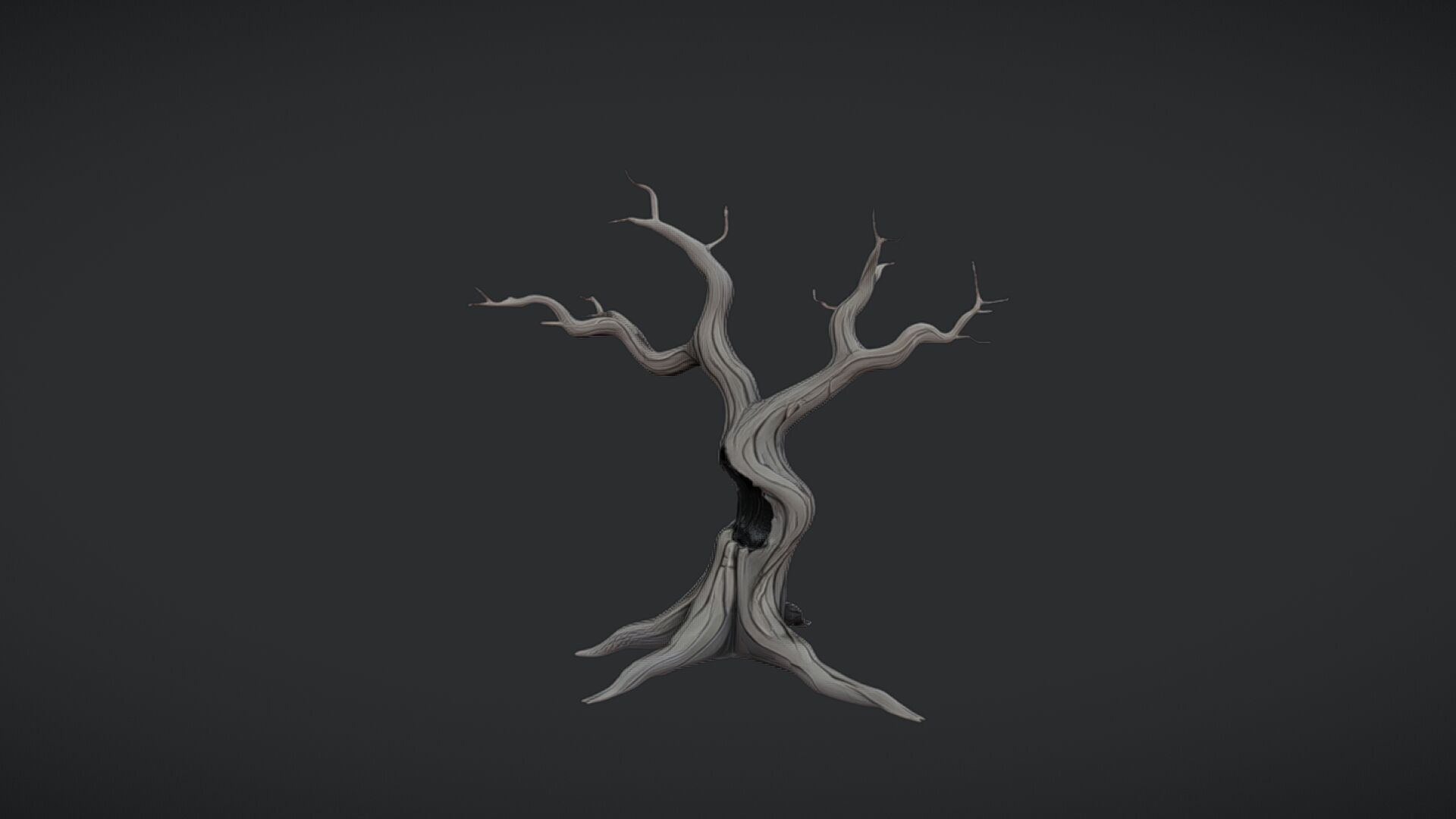 twisted barren tree 3D model_11
