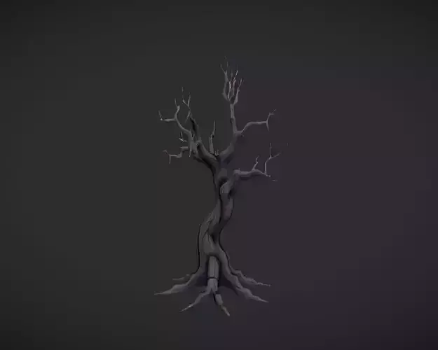 a twisted bare tree