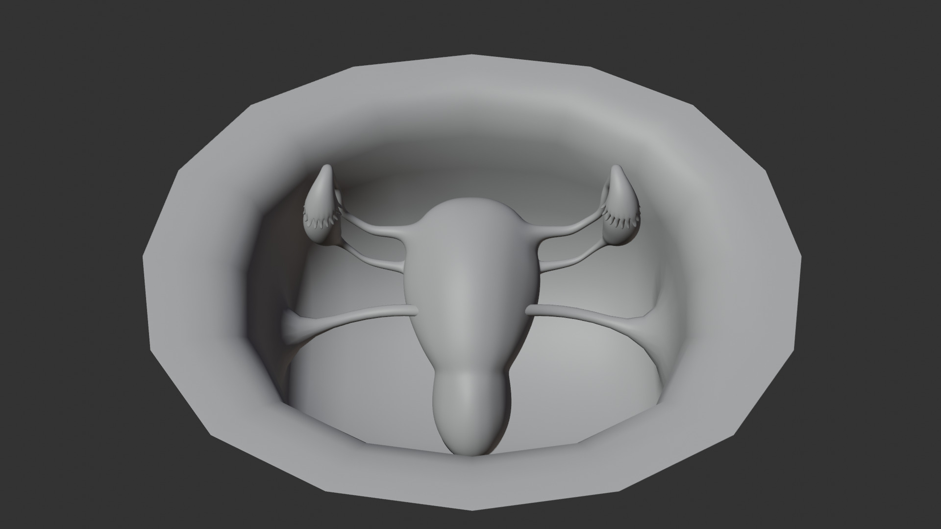 Realistic Uterus and Ovaries 3D Model 3D model_4