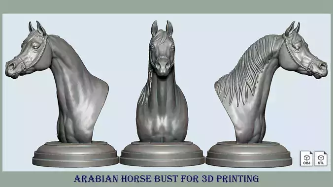 Arabian horse bust