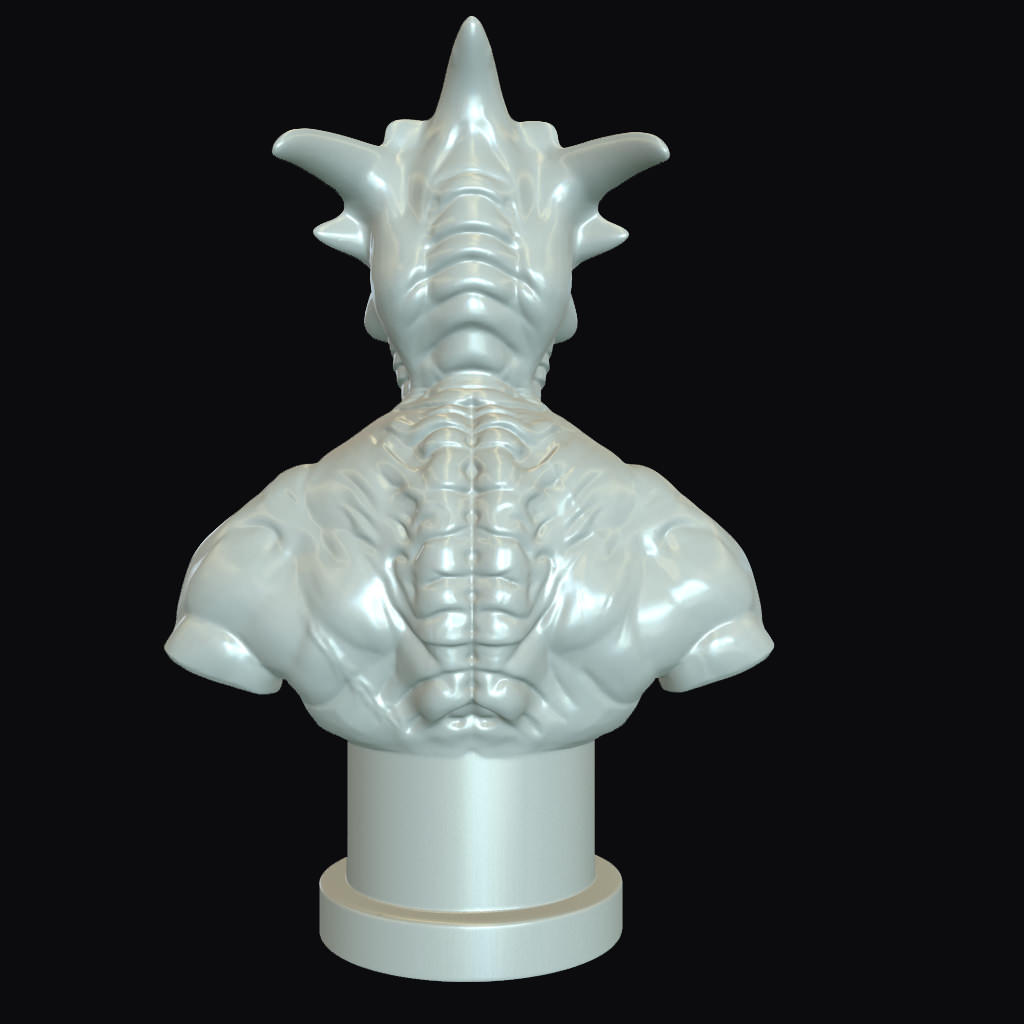 Raisher The Sky Reaper Printable Bust Free 3D print model_3