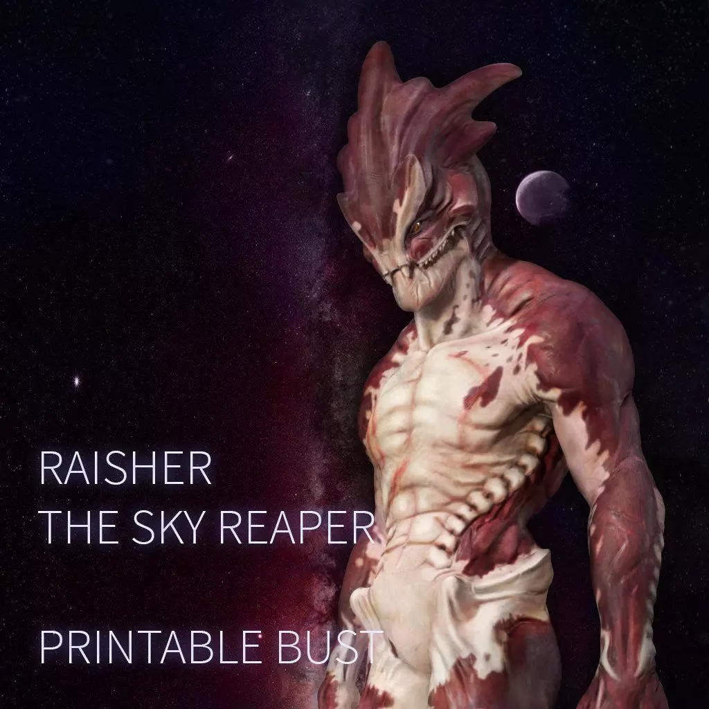 Raisher The Sky Reaper Printable Bust Free 3D print model_0
