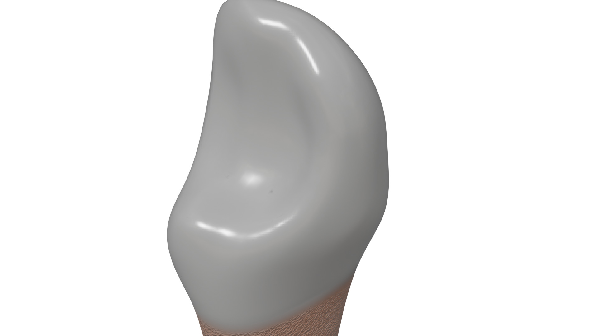 Canine teeth v1 3D model_6