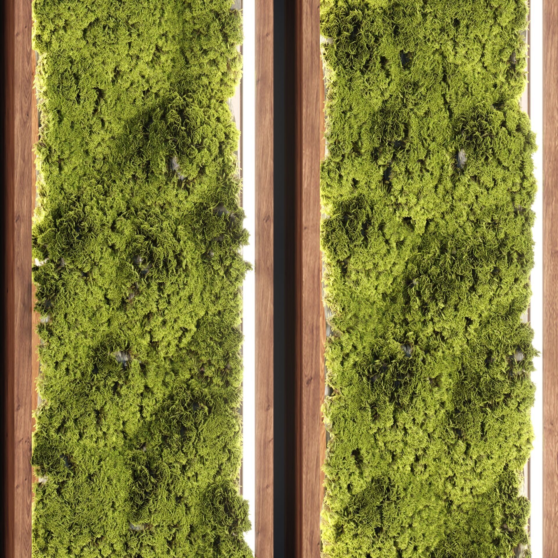 Architectural Vertical Green Wall Vol 293 3D model_3