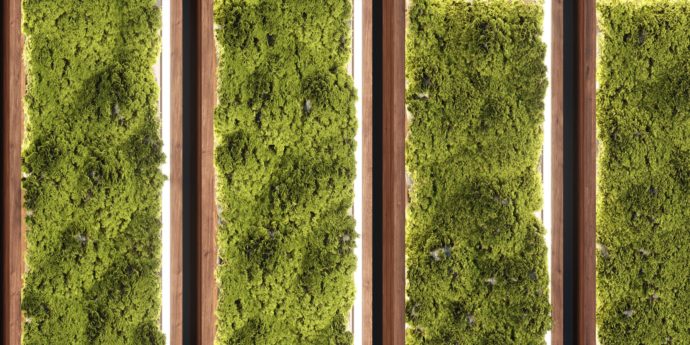 Architectural Vertical Green Wall Vol 293 3D model_2