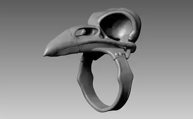 Raven Skull Ring