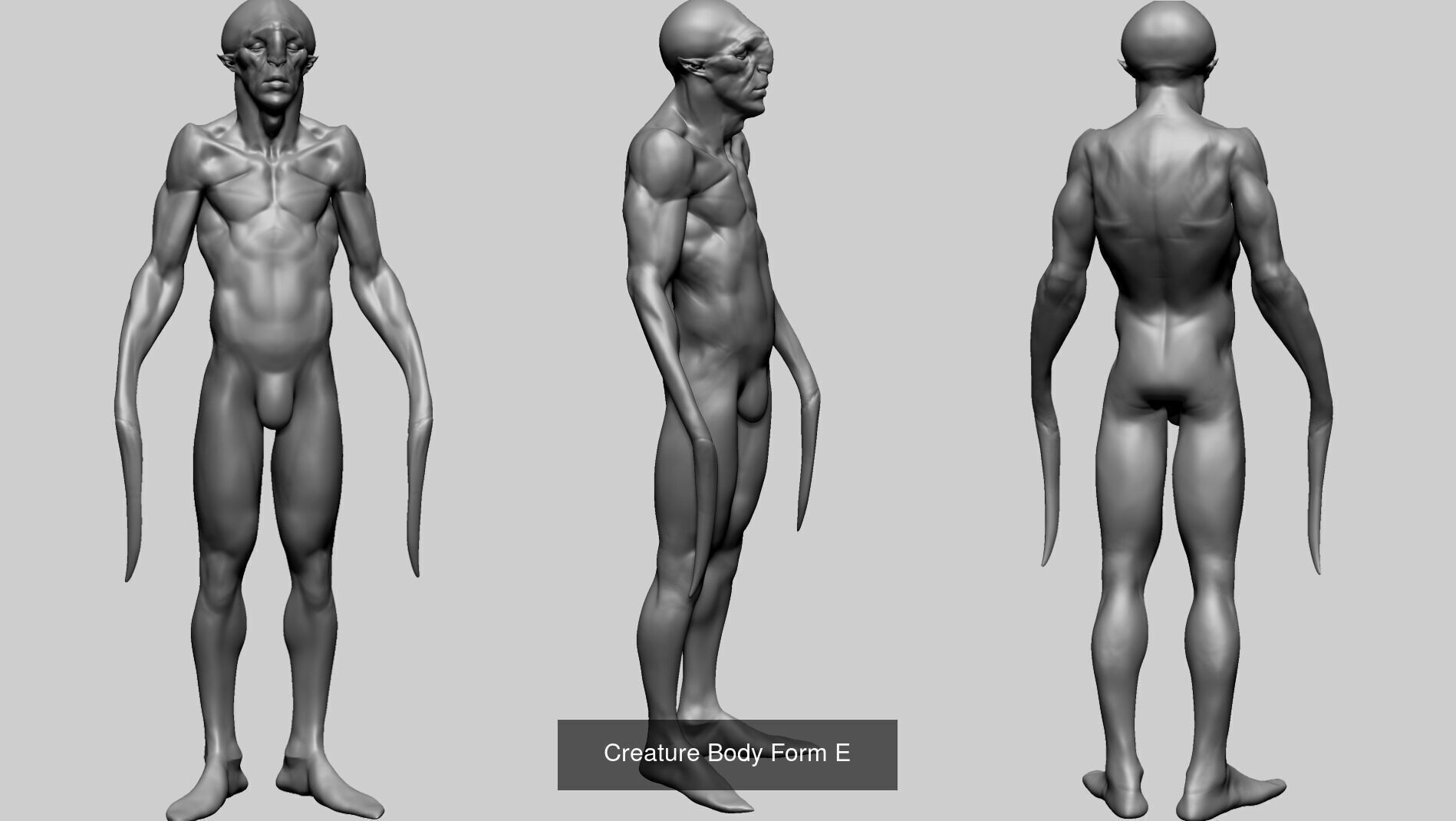 Various anatomy models - Male Female and Creature 3D Model Collection_21
