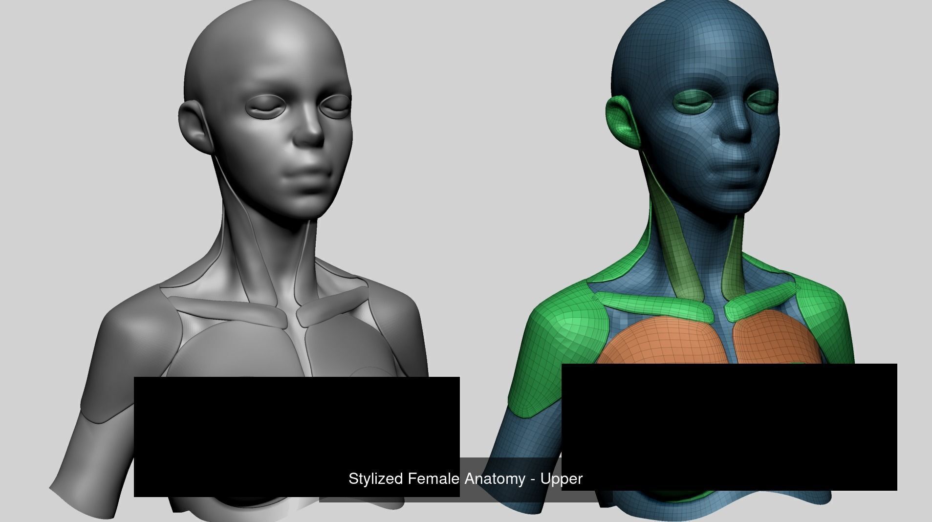 Various anatomy models - Male Female and Creature 3D Model Collection_15