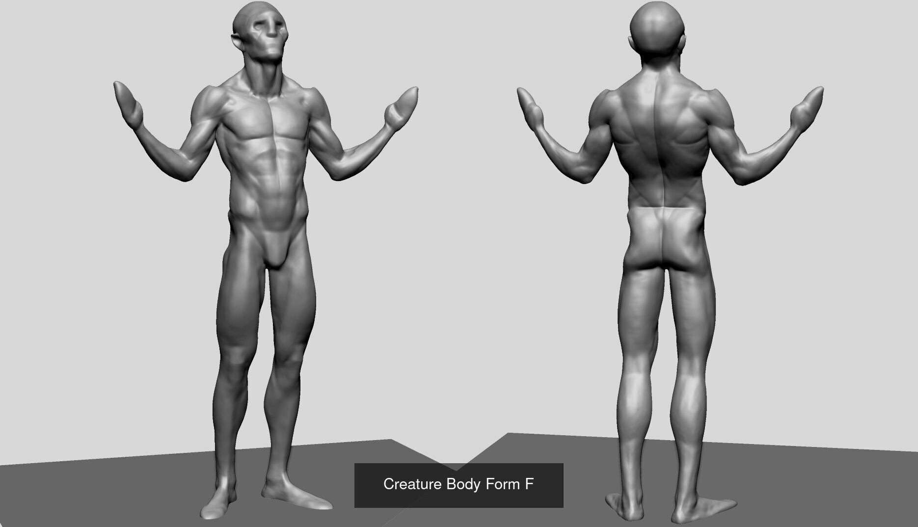 Various anatomy models - Male Female and Creature 3D Model Collection_22