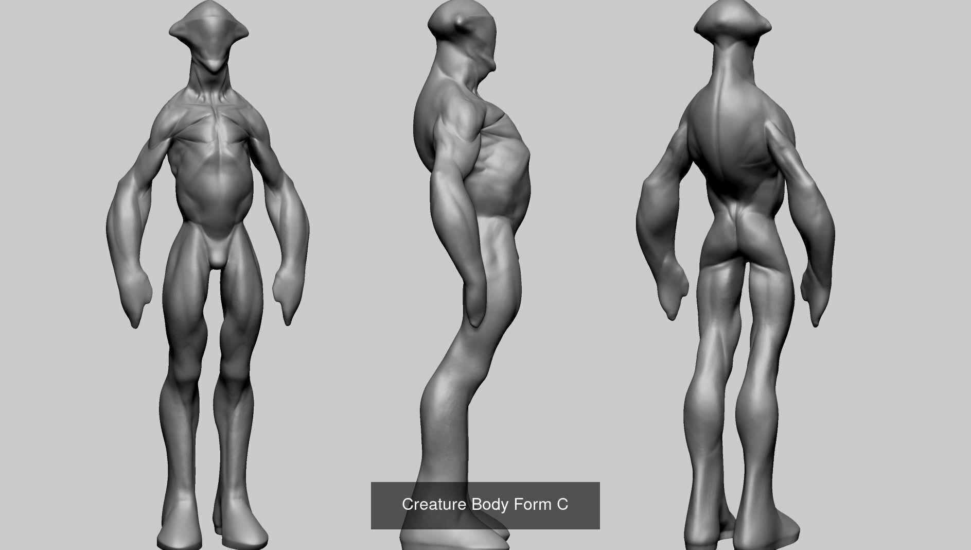Various anatomy models - Male Female and Creature 3D Model Collection_17
