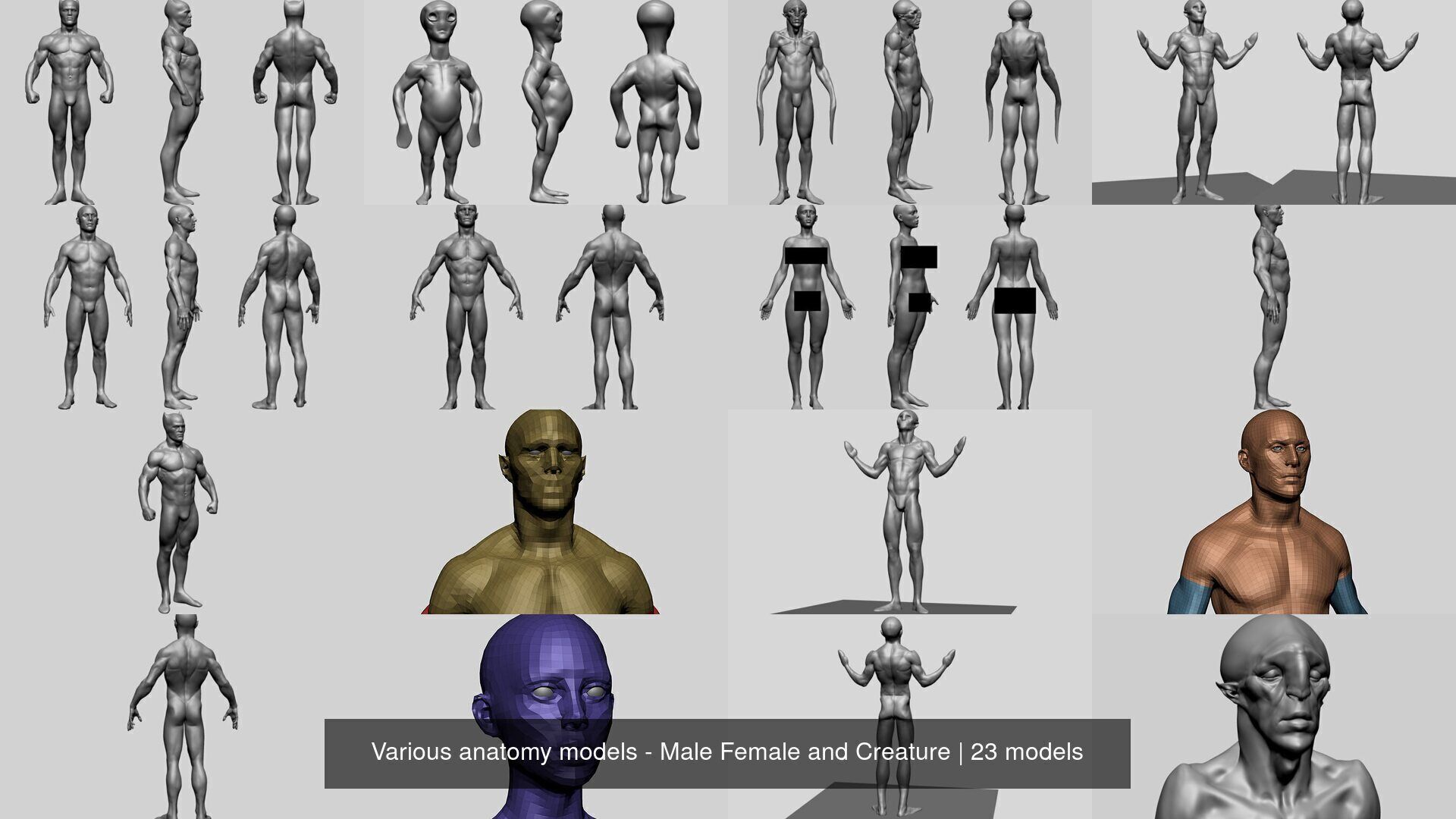 Various anatomy models - Male Female and Creature 3D Model Collection_2
