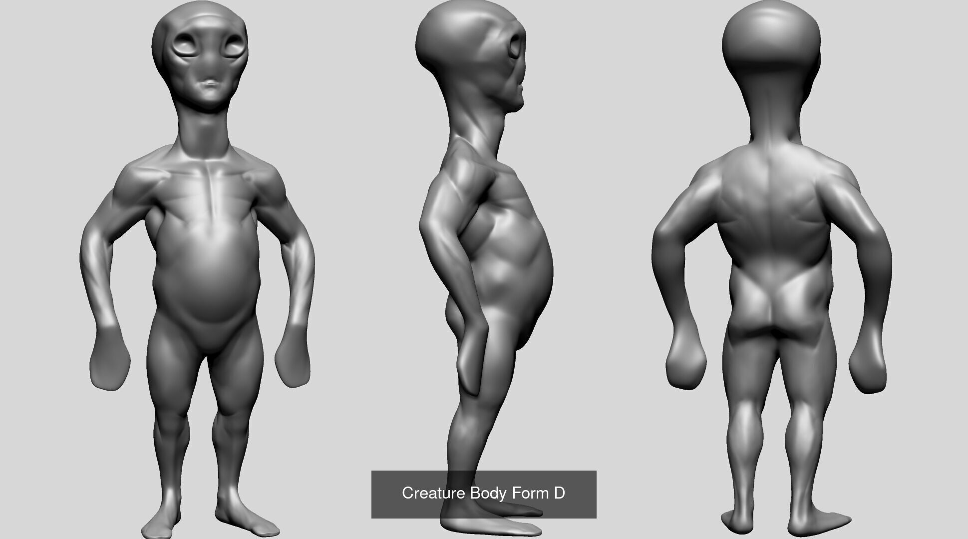 Various anatomy models - Male Female and Creature 3D Model Collection_20