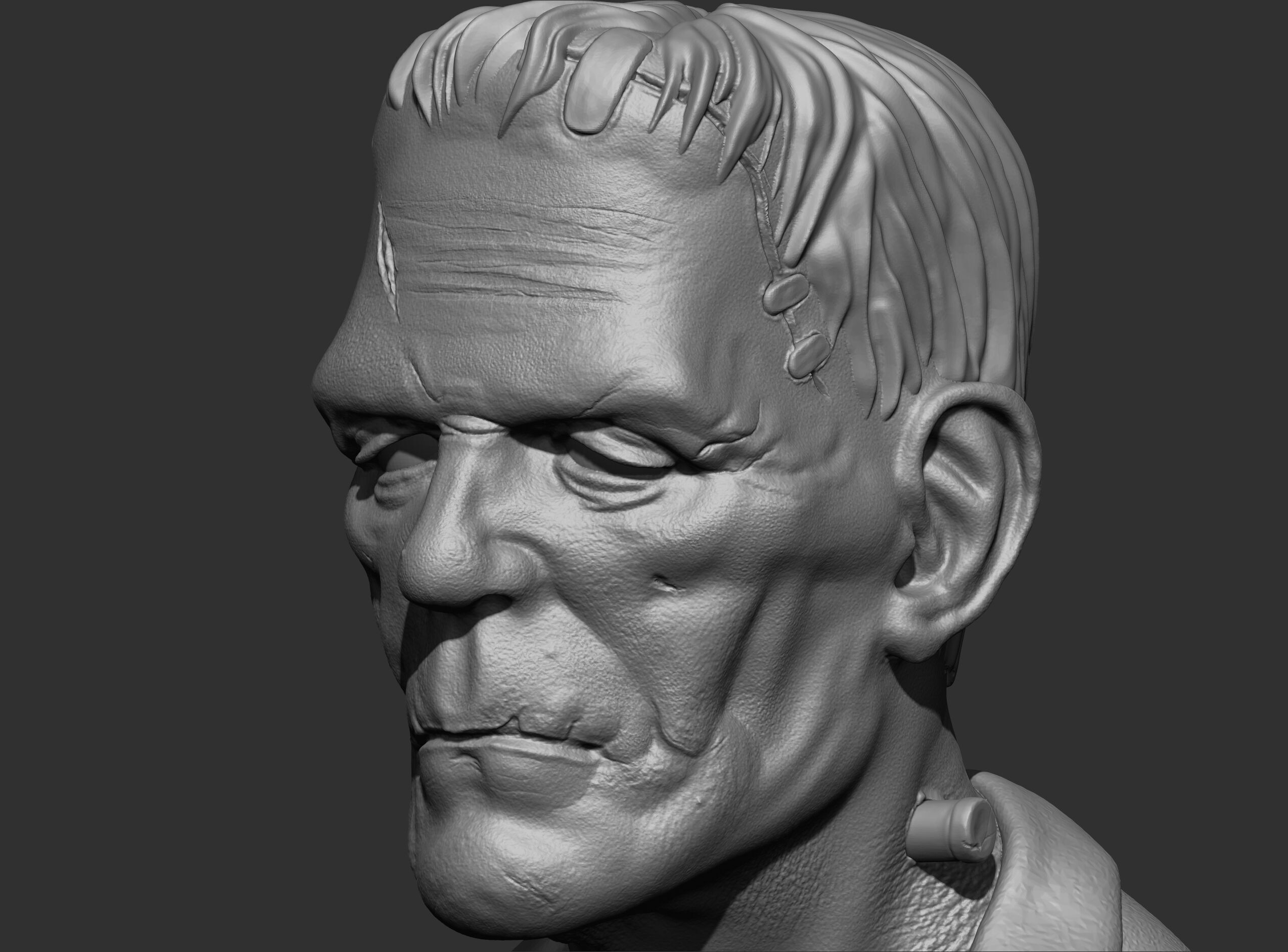 Frankenstein - Classic Bust 3D Print Model 3D print model_5