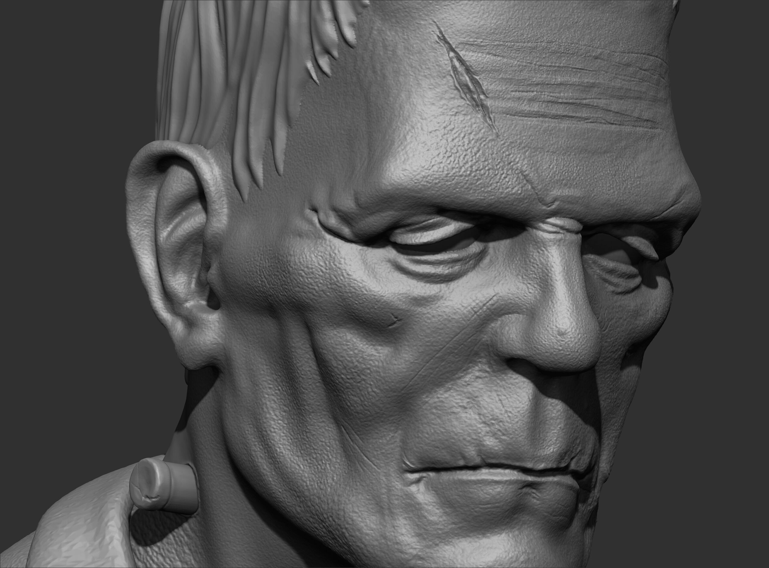 Frankenstein - Classic Bust 3D Print Model 3D print model_6