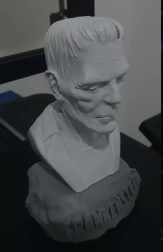 Frankenstein - Classic Bust 3D Print Model 3D print model_0