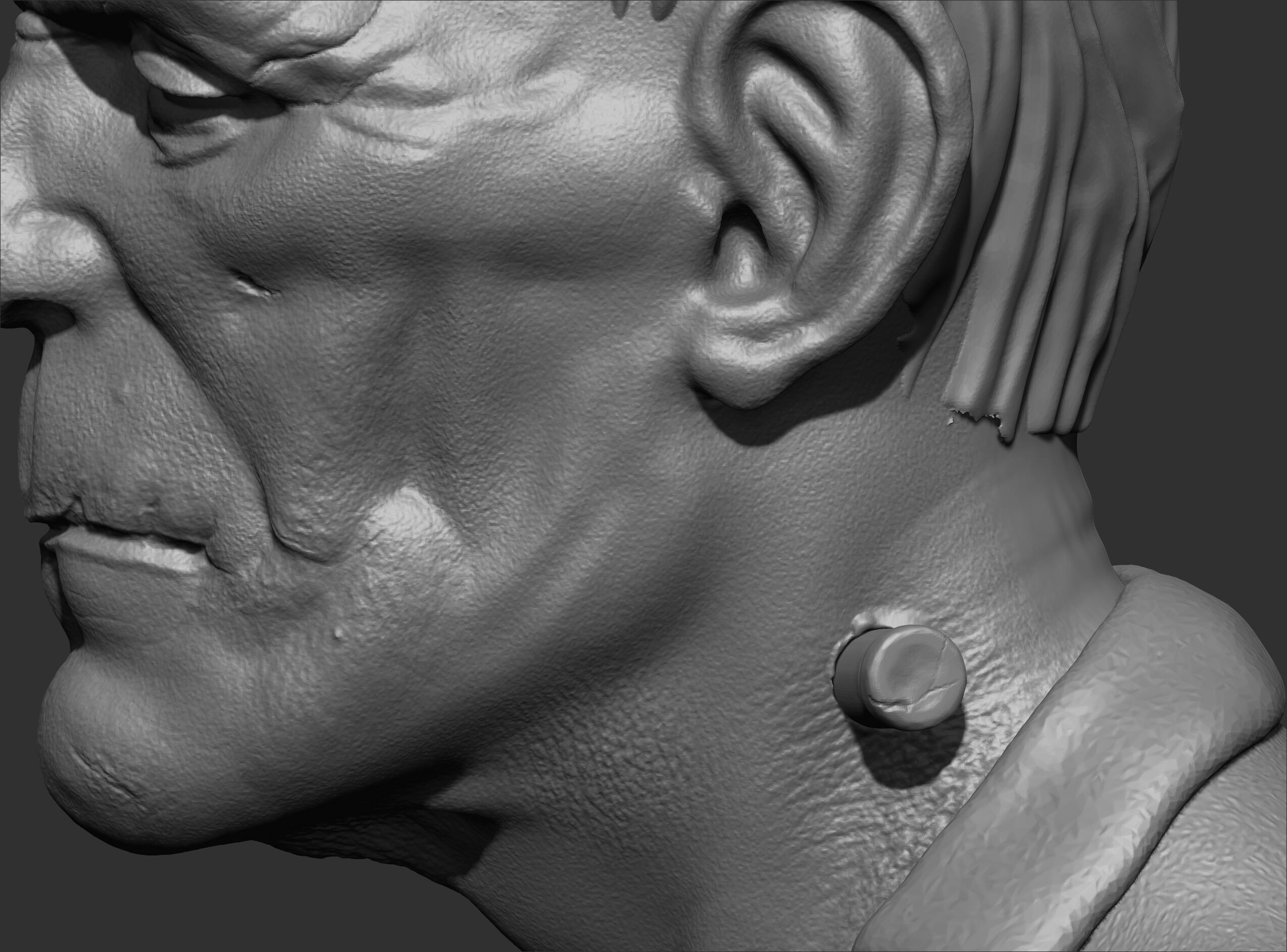 Frankenstein - Classic Bust 3D Print Model 3D print model_7