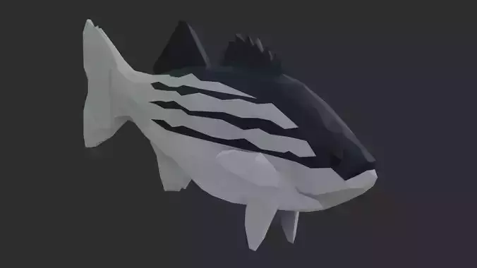 Low Poly Striped Bass