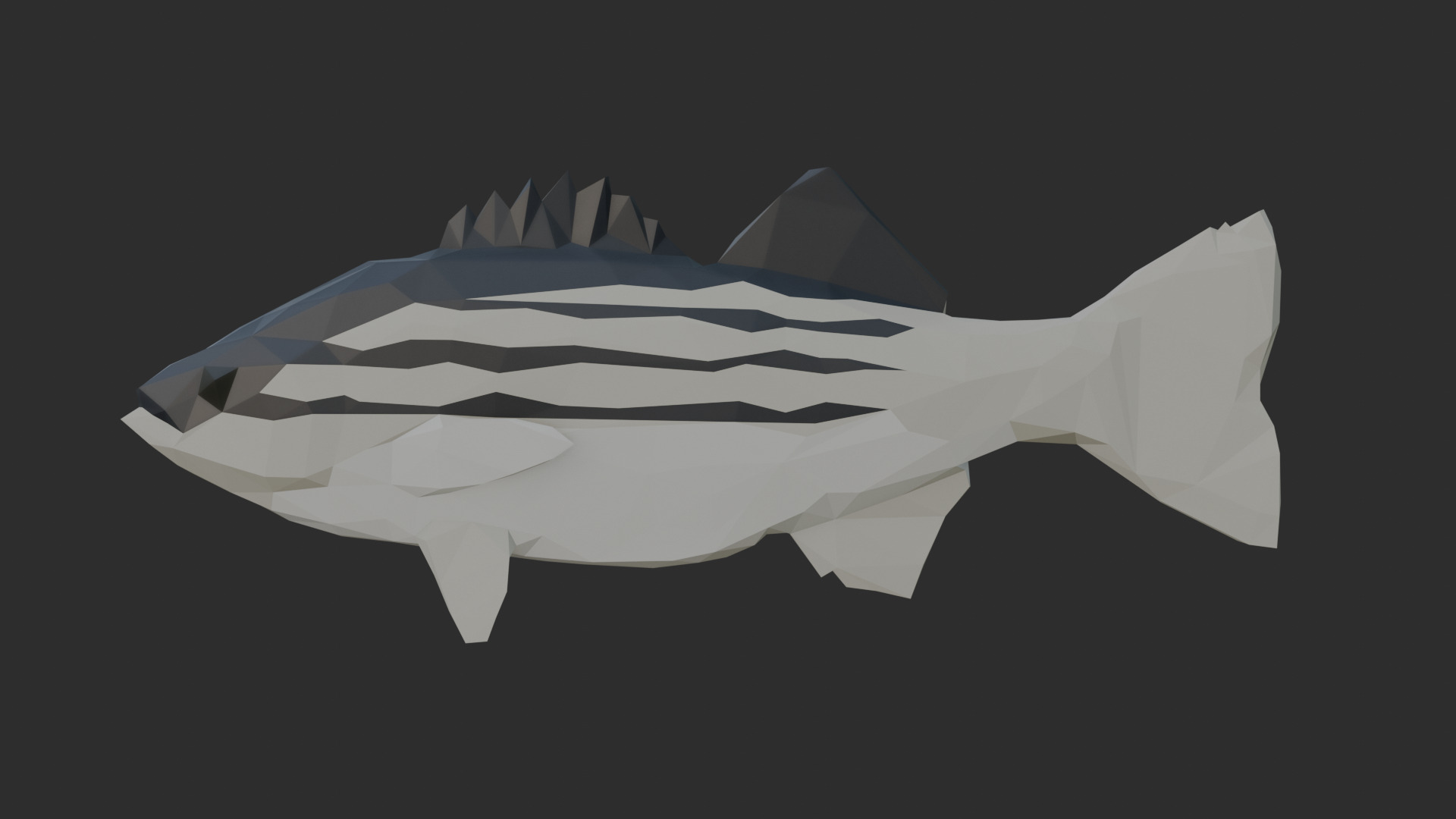 Low Poly Striped Bass Low-poly 3D model_2