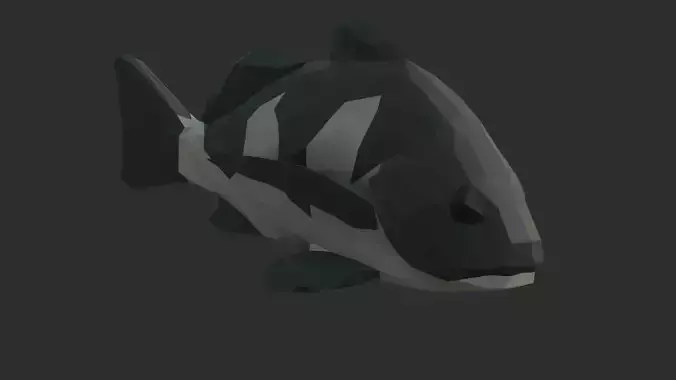 Low Poly Black Drum