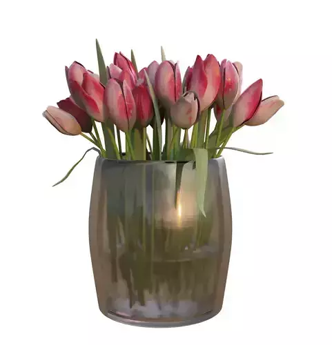 Bouquet of Pink Tulips
